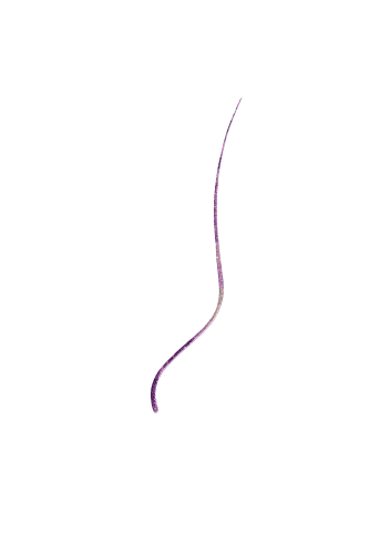 463193ae04e08c8506cc29f19200033d