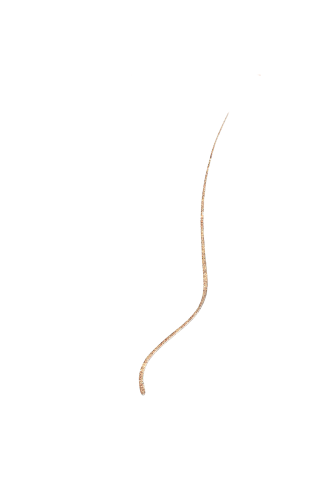 1299